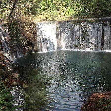 לינה וארוחת בוקר Lodève L'Ecrin D'Osely מראה חיצוני תמונה