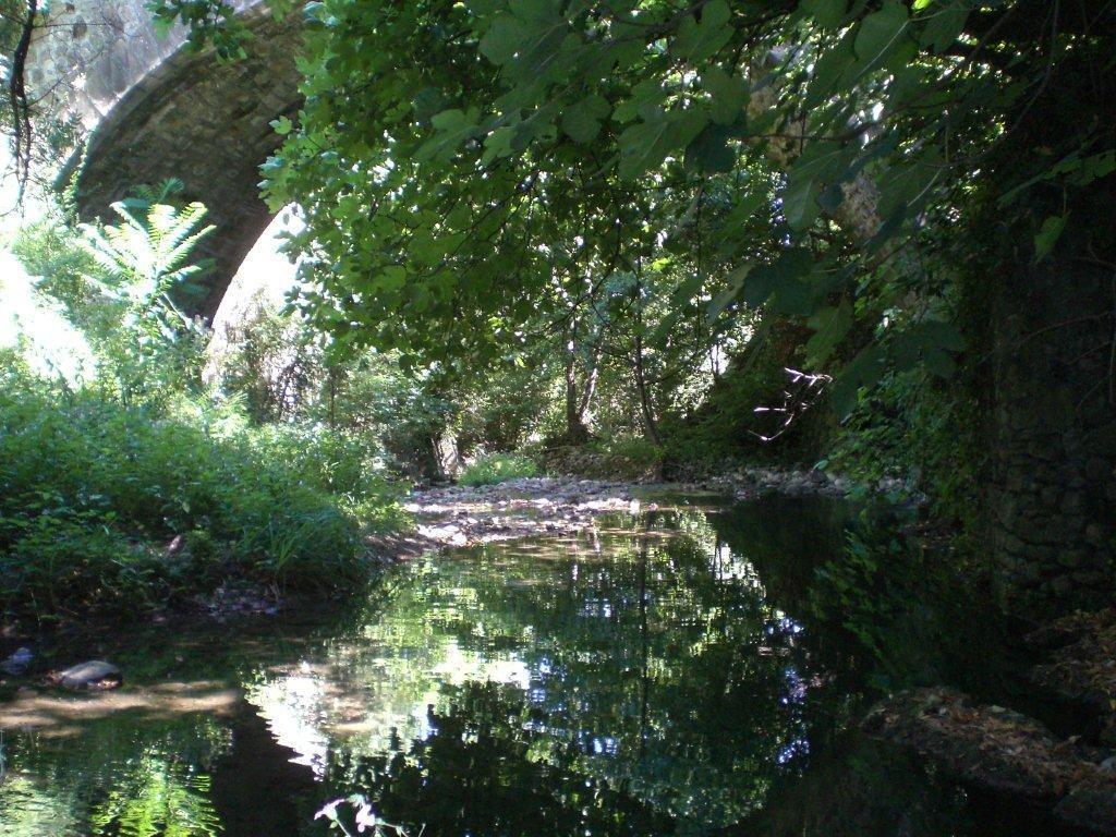 לינה וארוחת בוקר Lodève L'Ecrin D'Osely מראה חיצוני תמונה