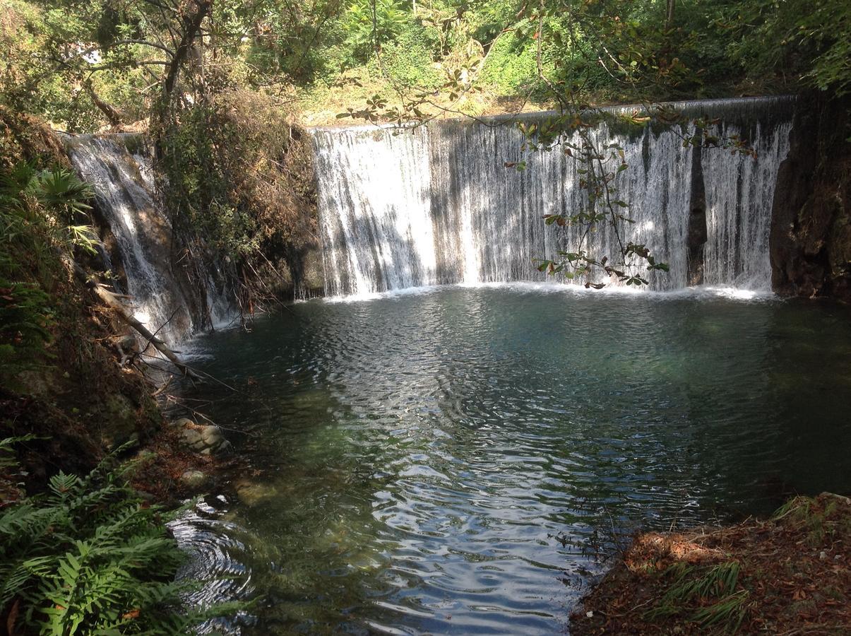 לינה וארוחת בוקר Lodève L'Ecrin D'Osely מראה חיצוני תמונה